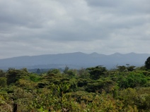 View of the Ngong Hills, made famous by Karen Blixen's book (and the movie) "Out of Africa"